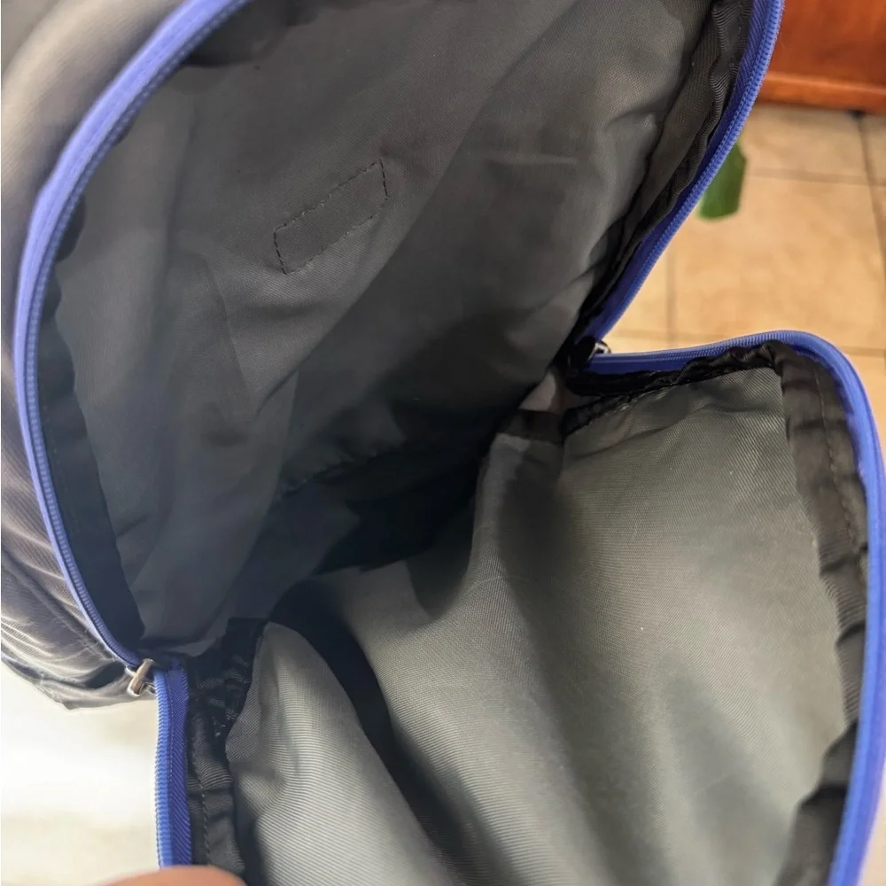 The‎ North Face Gray and Purple Outdoor Backpack Jester